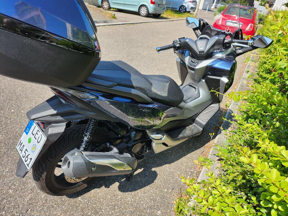 Motorrad verkaufen Honda Forza 300 Ankauf